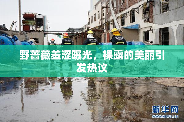 野蔷薇羞涩曝光，裸露的美丽引发热议