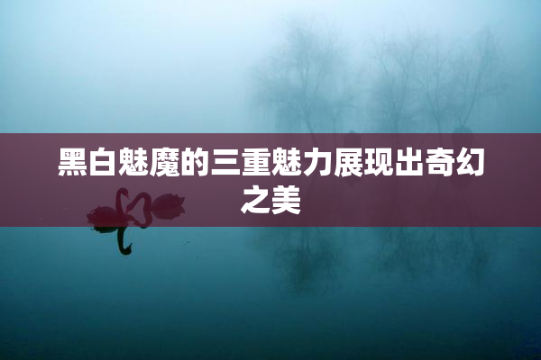 黑白魅魔的三重魅力展现出奇幻之美