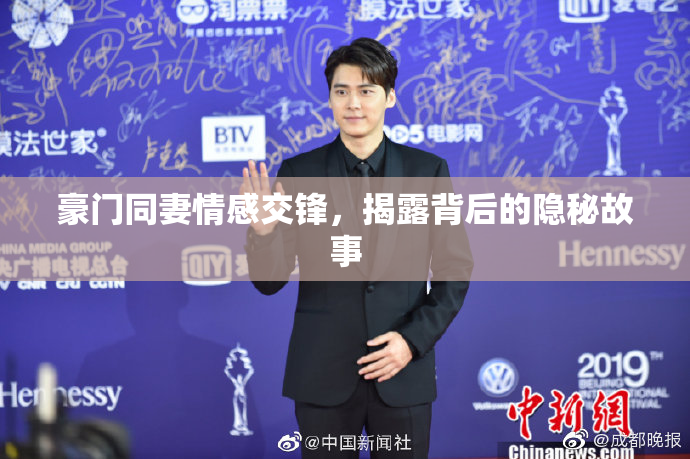 豪门同妻情感交锋，揭露背后的隐秘故事