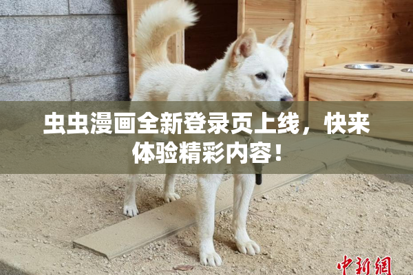 虫虫漫画全新登录页上线，快来体验精彩内容！