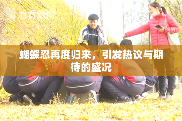 蝴蝶忍再度归来，引发热议与期待的盛况