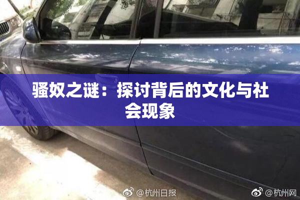 骚奴之谜：探讨背后的文化与社会现象