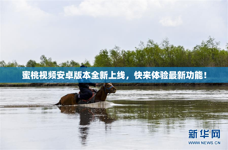 蜜桃视频安卓版本全新上线，快来体验最新功能！
