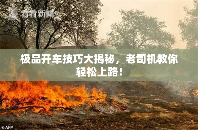 极品开车技巧大揭秘，老司机教你轻松上路！