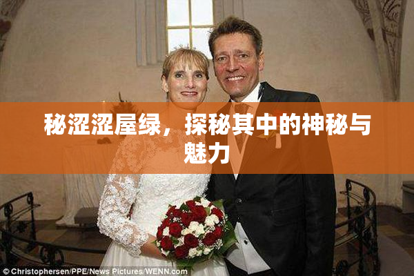 秘涩涩屋绿，探秘其中的神秘与魅力