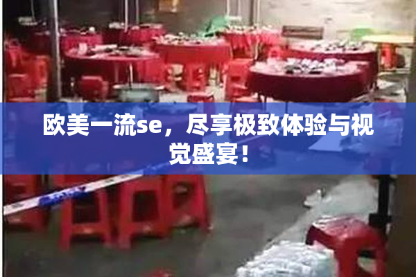 欧美一流se，尽享极致体验与视觉盛宴！