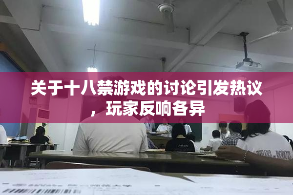 关于十八禁游戏的讨论引发热议，玩家反响各异
