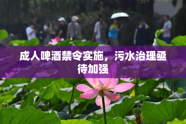 成人啤酒禁令实施，污水治理亟待加强