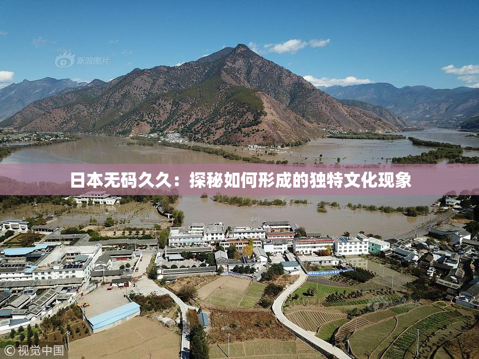 日本无码久久：探秘如何形成的独特文化现象