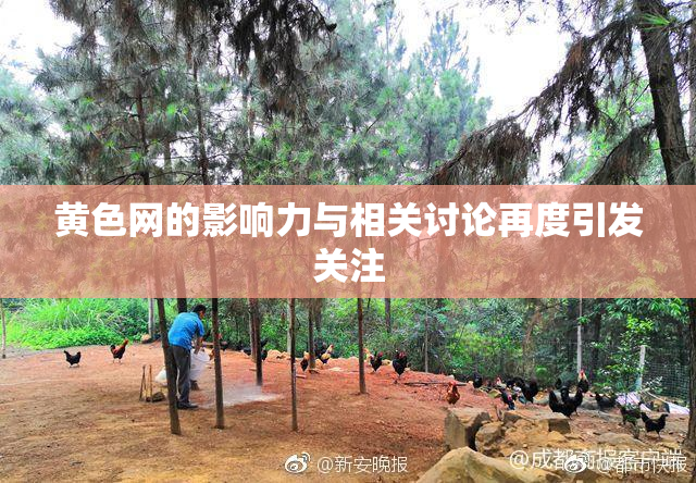黄色网的影响力与相关讨论再度引发关注
