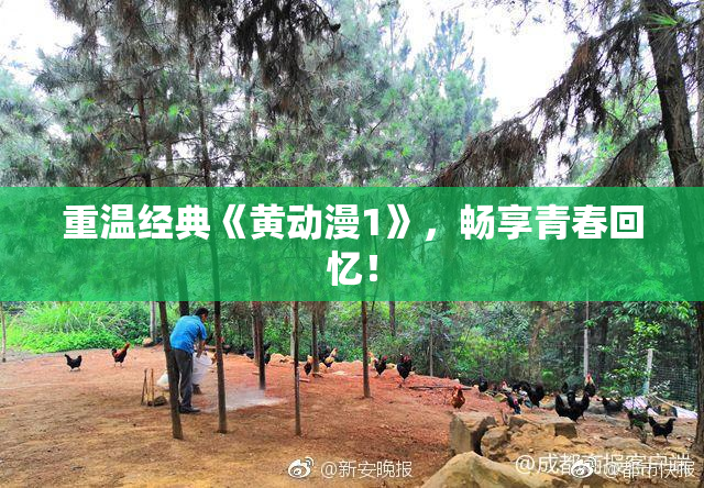 重温经典《黄动漫1》，畅享青春回忆！
