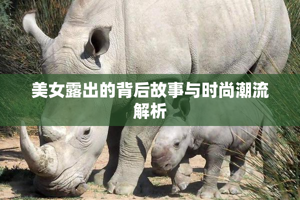 美女露出的背后故事与时尚潮流解析