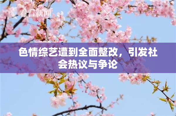 色情综艺遭到全面整改，引发社会热议与争论