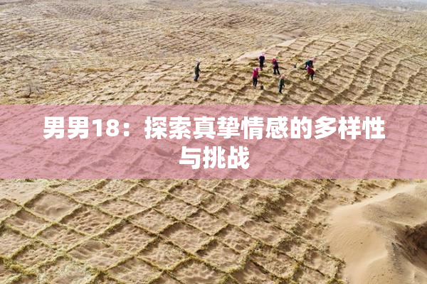 男男18：探索真挚情感的多样性与挑战