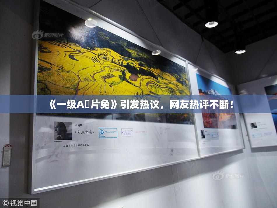 《一级A婬片免》引发热议，网友热评不断！