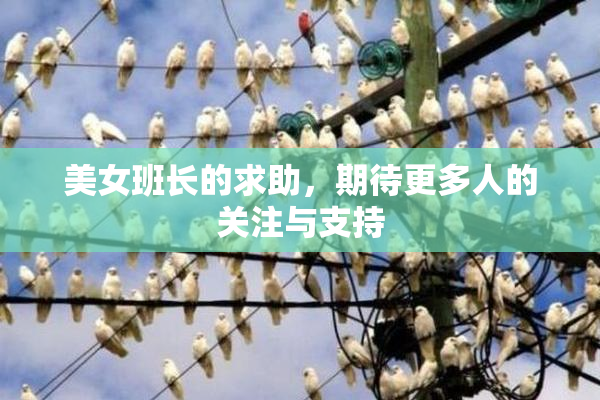 美女班长的求助，期待更多人的关注与支持