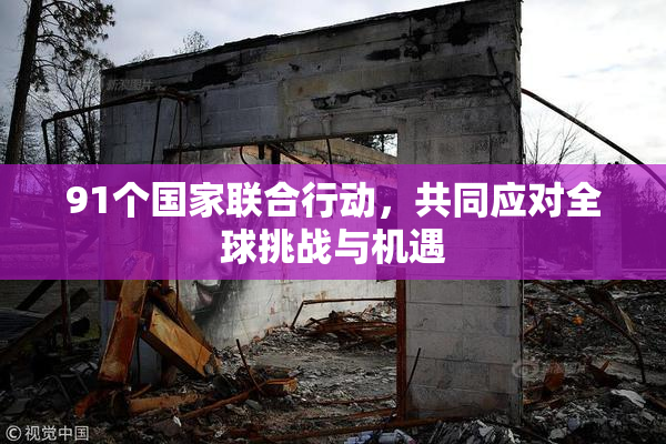 91个国家联合行动，共同应对全球挑战与机遇