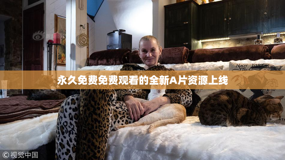 永久免费免费观看的全新A片资源上线