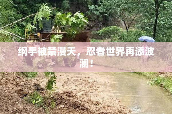 纲手被禁漫天，忍者世界再添波澜！