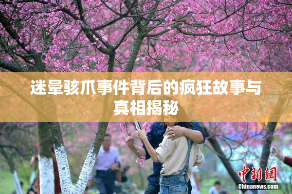 迷晕骇爪事件背后的疯狂故事与真相揭秘