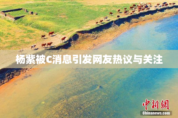 杨紫被C消息引发网友热议与关注
