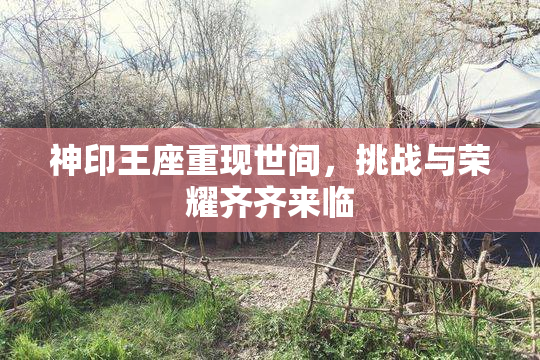 神印王座重现世间，挑战与荣耀齐齐来临