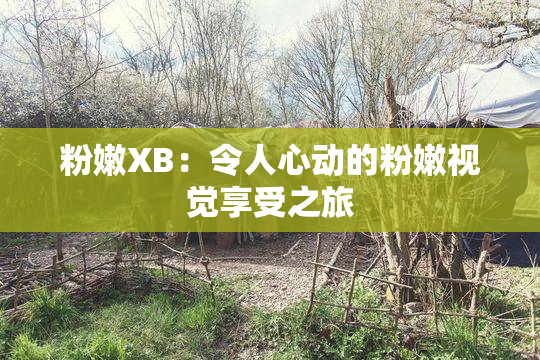 粉嫩XB：令人心动的粉嫩视觉享受之旅