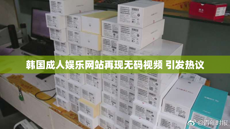 韩国成人娱乐网站再现无码视频 引发热议