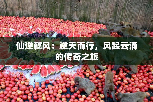 仙逆乾风：逆天而行，风起云涌的传奇之旅