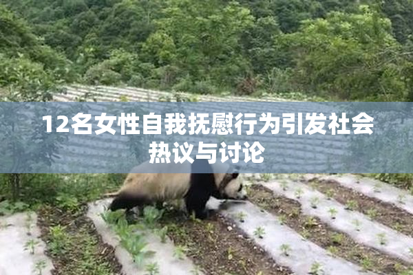 12名女性自我抚慰行为引发社会热议与讨论