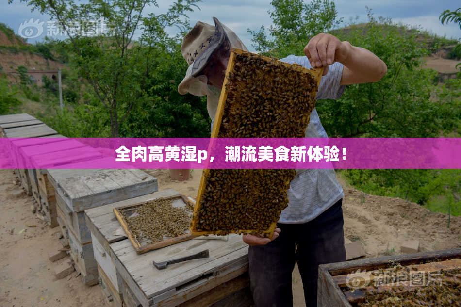 全肉高黄湿p，潮流美食新体验！