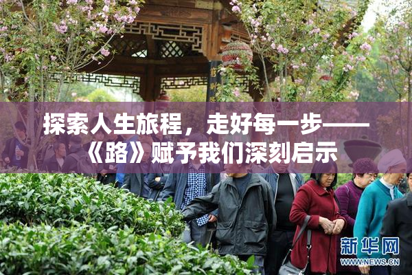 探索人生旅程，走好每一步——《路》赋予我们深刻启示