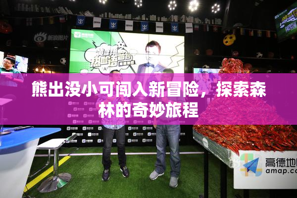 熊出没小可闯入新冒险，探索森林的奇妙旅程