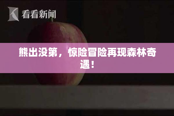 熊出没第，惊险冒险再现森林奇遇！