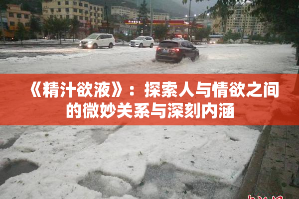 《精汁欲液》：探索人与情欲之间的微妙关系与深刻内涵