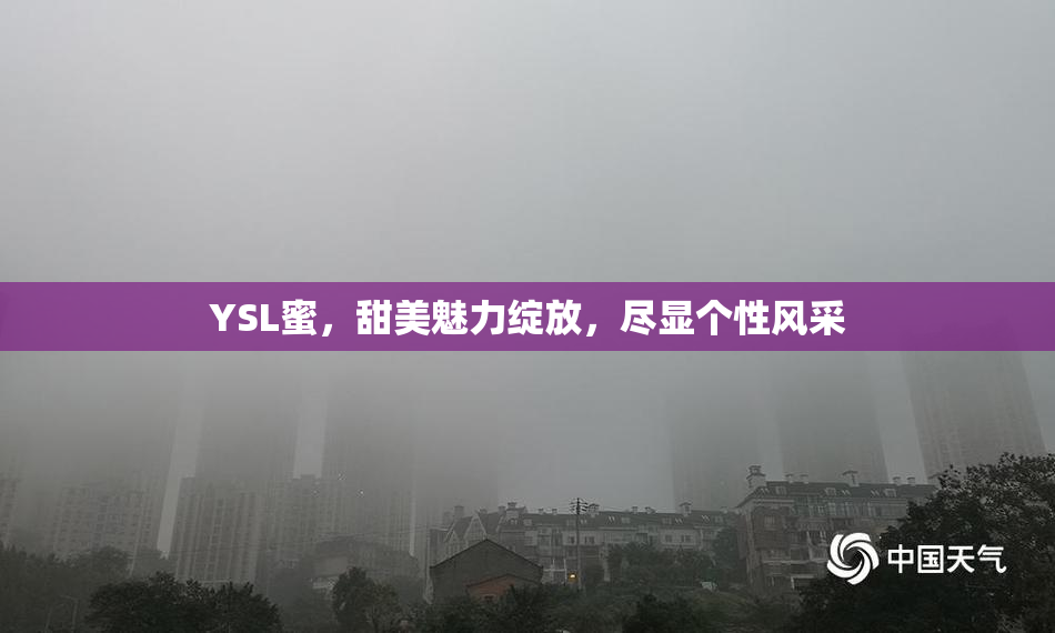 YSL蜜，甜美魅力绽放，尽显个性风采