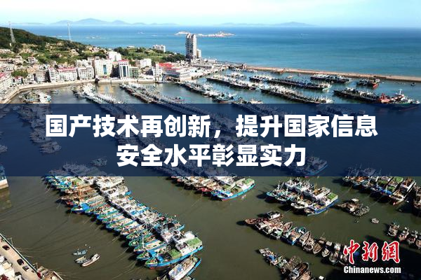 国产技术再创新，提升国家信息安全水平彰显实力