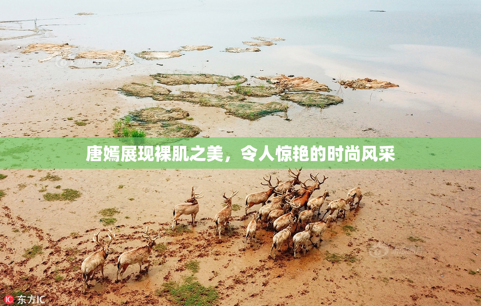 唐嫣展现裸肌之美，令人惊艳的时尚风采
