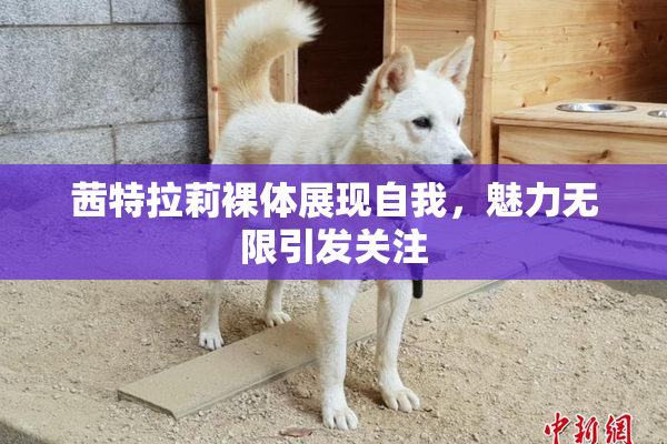 茜特拉莉裸体展现自我，魅力无限引发关注