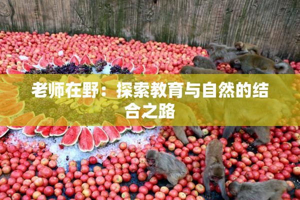 老师在野：探索教育与自然的结合之路