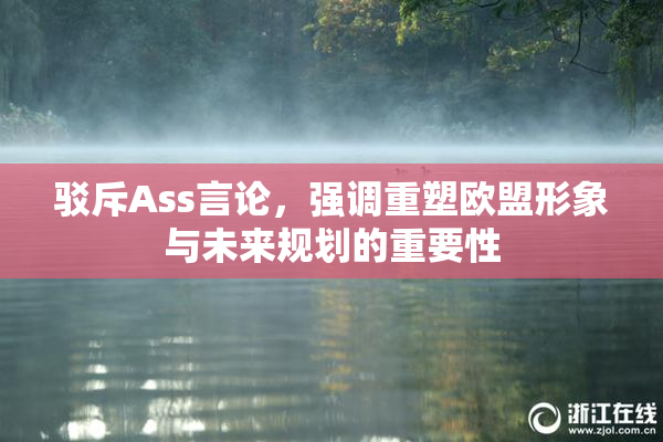 驳斥Ass言论，强调重塑欧盟形象与未来规划的重要性