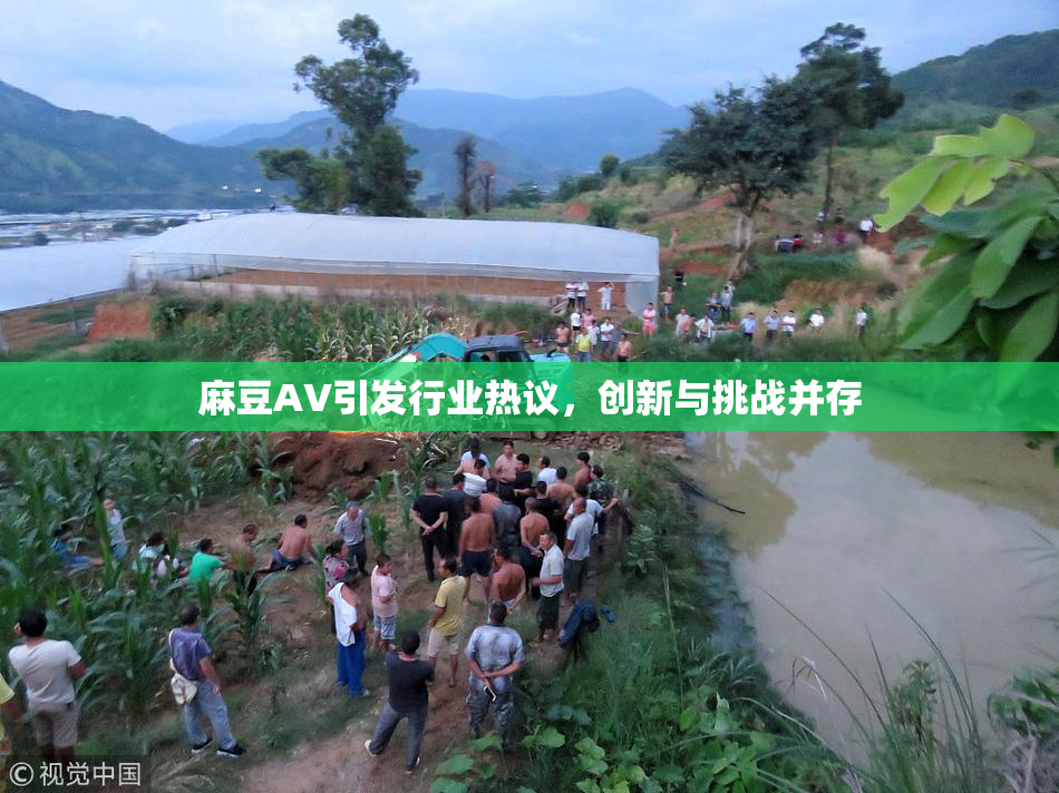 麻豆A∨引发行业热议，创新与挑战并存