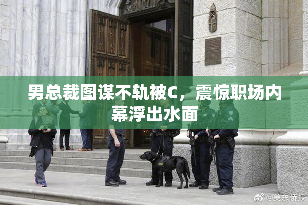 男总裁图谋不轨被C，震惊职场内幕浮出水面