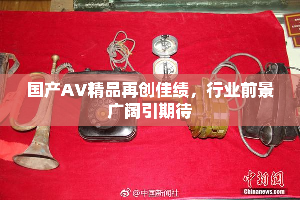 国产AV精品再创佳绩，行业前景广阔引期待