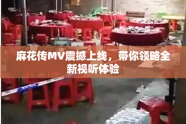 麻花传MV震撼上线，带你领略全新视听体验