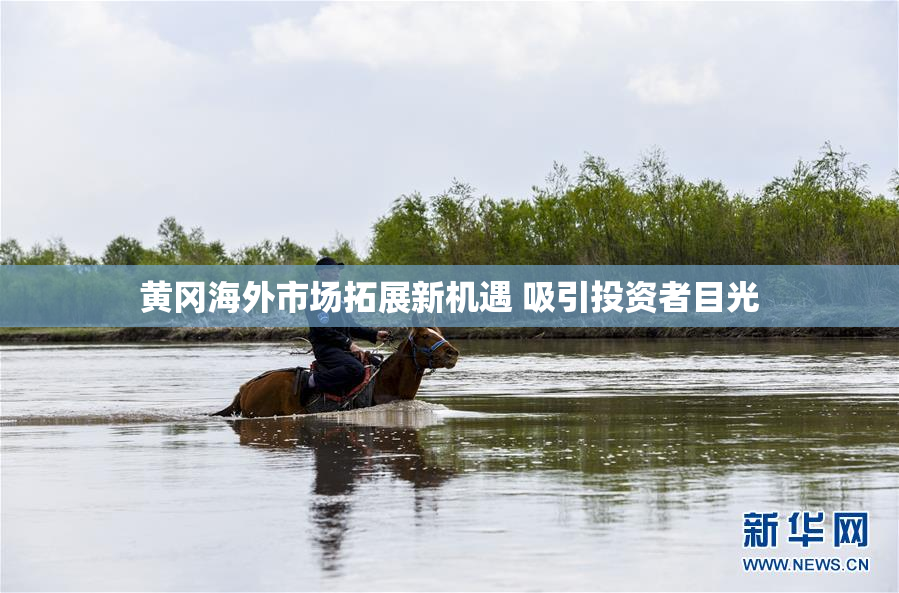 黄冈海外市场拓展新机遇 吸引投资者目光