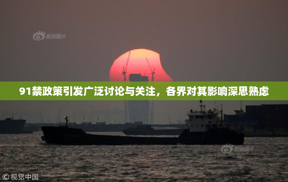 91禁政策引发广泛讨论与关注，各界对其影响深思熟虑