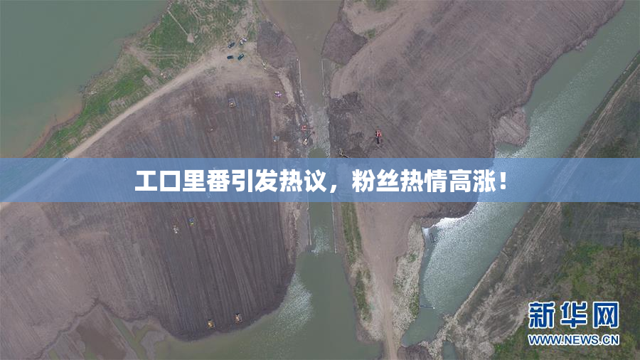 工口里番引发热议，粉丝热情高涨！