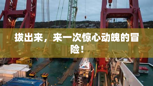 拔出来，来一次惊心动魄的冒险！
