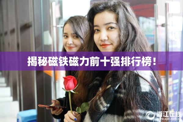 揭秘磁铁磁力前十强排行榜！